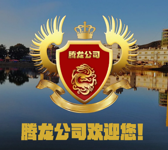 絕境防線